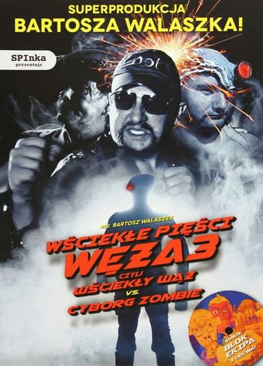 Fists of Angry Snake 3 poster
