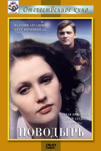 The Guide poster