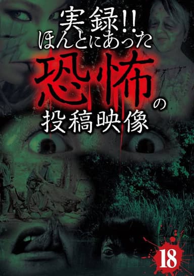 Actual Record! Real Horror Posted Video 18 poster