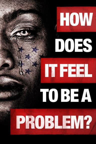 How Does It Feel to Be a Problem? poster