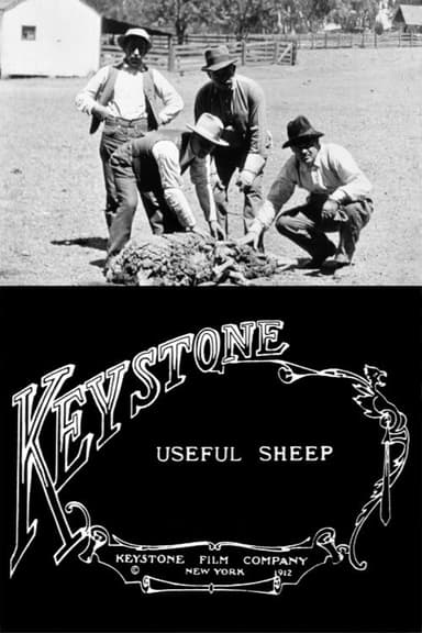 Useful Sheep poster