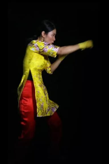 Thuy & T. poster