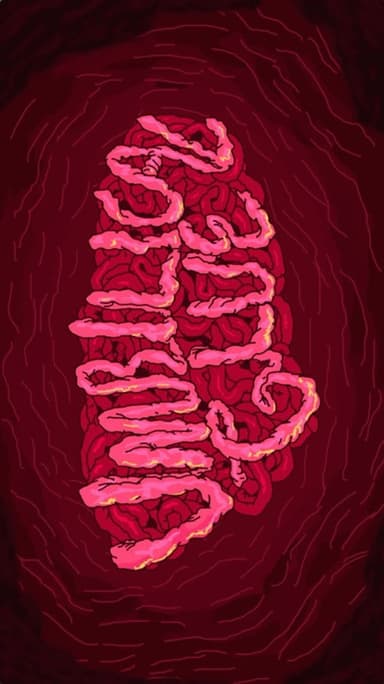 Umbilical Glue poster