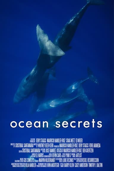 Ocean Secrets poster