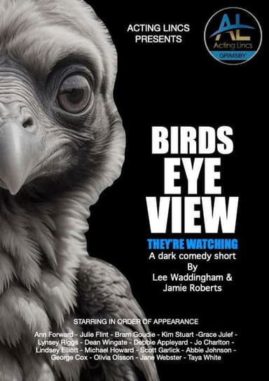 Birds Eye View poster