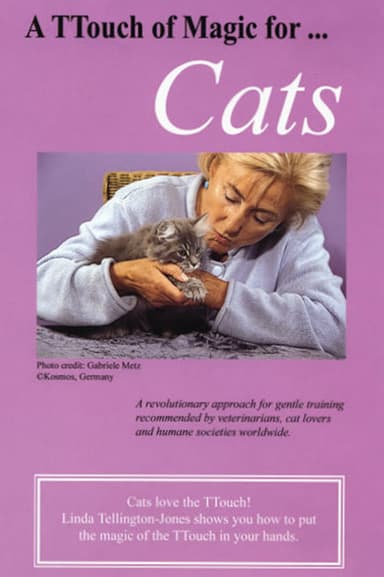 A TTouch of Magic for Cats poster