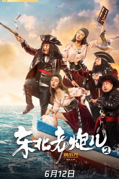 Old Cannon From North East 2 poster