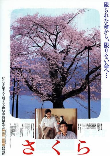 Sakura poster