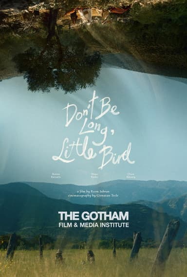 Don't Be Long, Little Bird poster