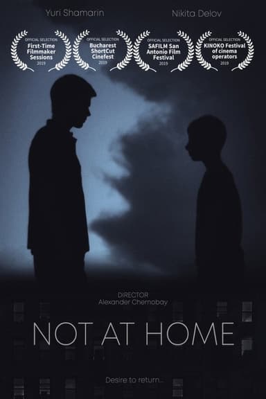 Not at Home poster