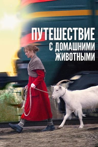 Travelling with Pets poster