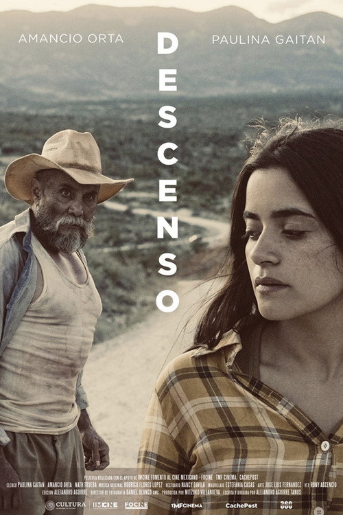 Descenso poster