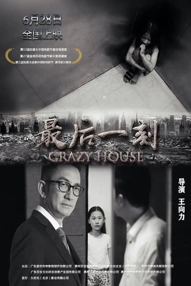 Crazy House poster