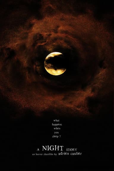 A Night Story poster