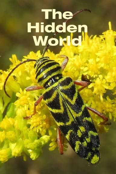 The Hidden World poster