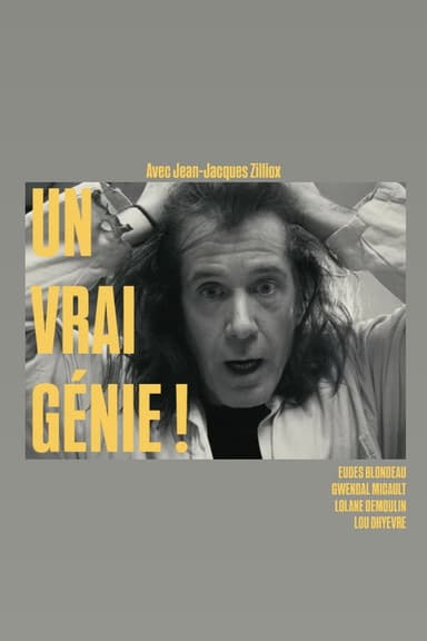 Un vrai génie ! poster