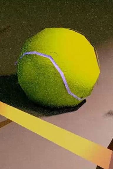 Dog, Ball, Park poster