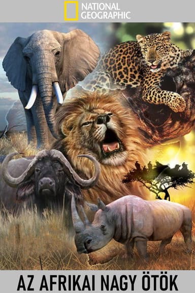 Africa's Big Five poster