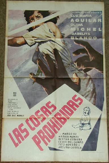 Las cosas prohibidas poster