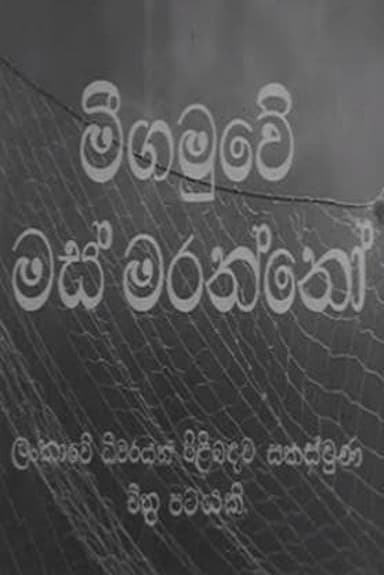Fishermen of Negombo poster