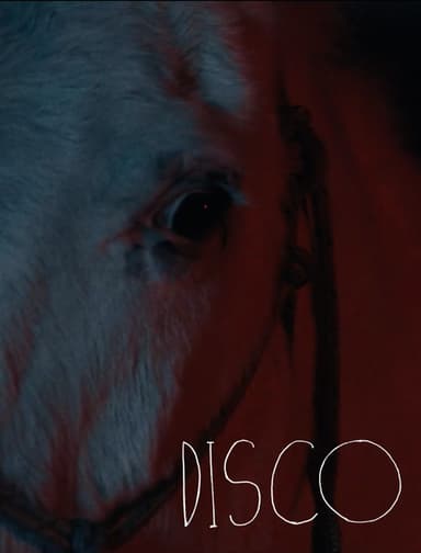 Disco poster