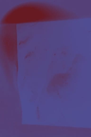 Corpus II Home poster