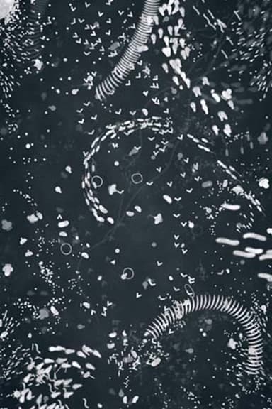 A4 Microcosm poster