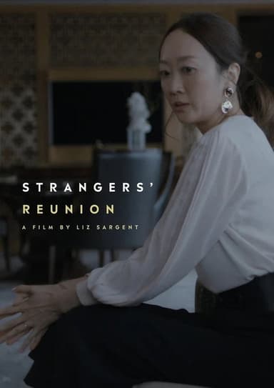 Strangers' Reunion poster