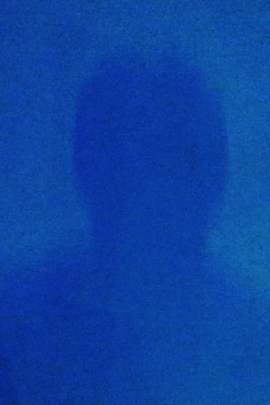 HOW TO DISAPPEAR COMPLETELY poster