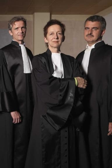De Vreemdelingenrechter poster