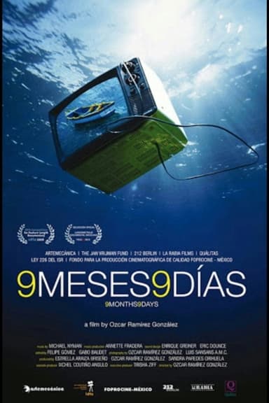 9 meses, 9 días poster