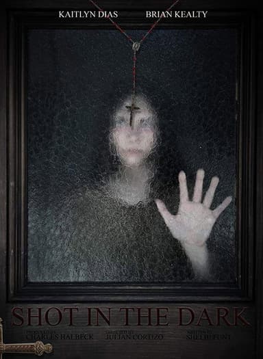 Shot in the Dark poster