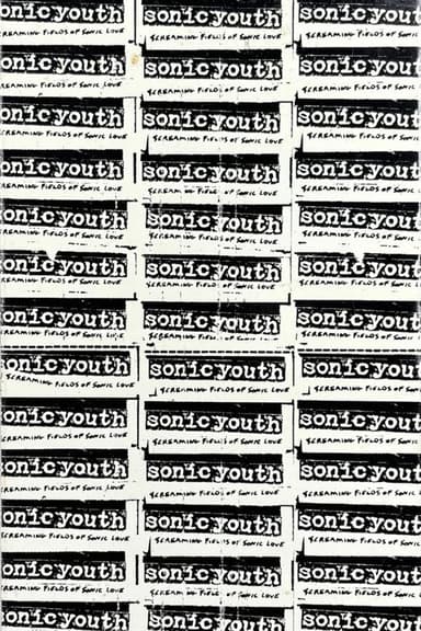 Sonic Youth: Screaming Fields of Sonic Love poster