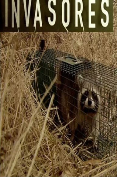 Invasores. Fauna invasora poster