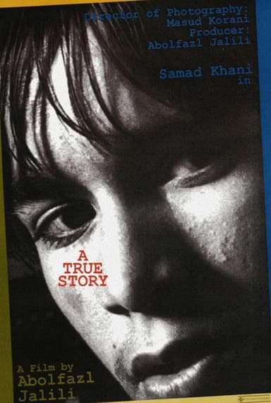 A True Story poster