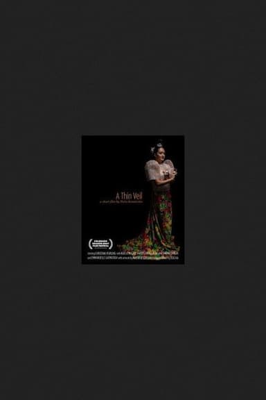 A Thin Veil poster