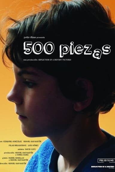 500 Piece poster