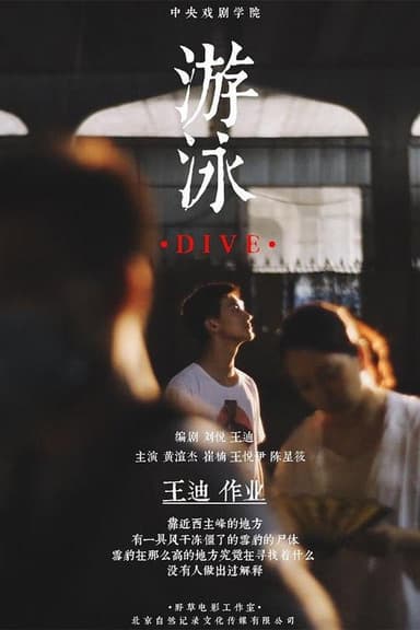Dive poster