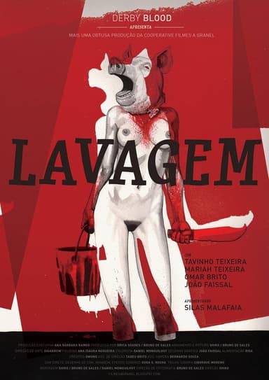 Lavagem poster