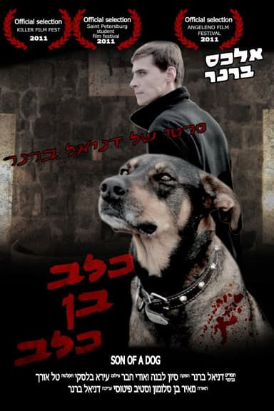 Son of a Dog poster