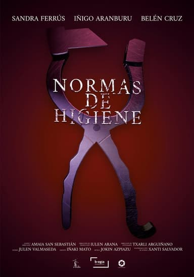 Hygiene Standards poster