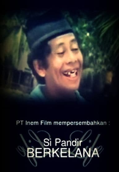 Si Pandir Berkelana poster