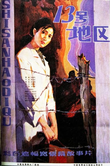 十三号地区 poster