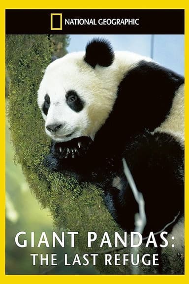 Giant Pandas: The Last Refuge poster