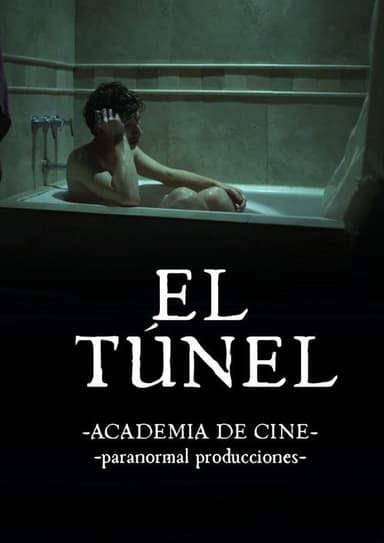 El Túnel poster