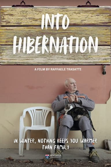 Into Hibernation poster