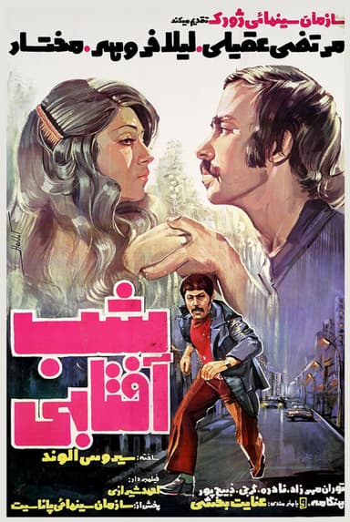 Sunny Night poster