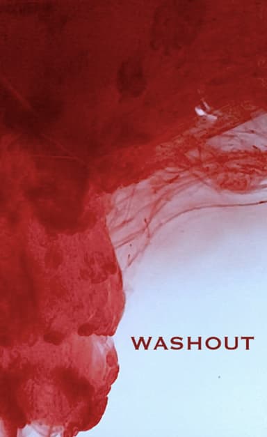 Washout poster