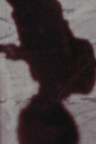 Señales de vida poster
