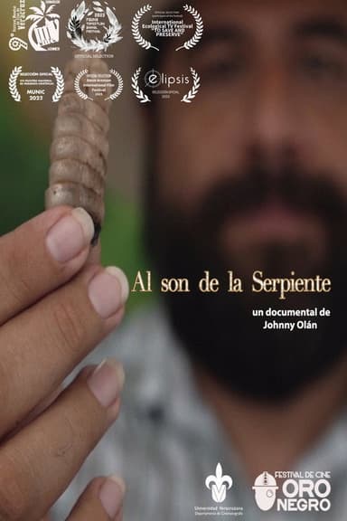 Al son de la serpiente poster